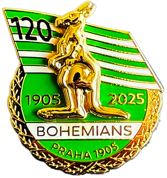 6365-odznak 120let vlajka pin